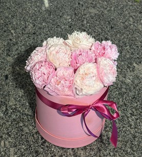 10 Pembe Şakayık Kutuda