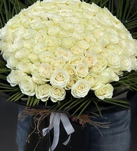 101 beyaz gül, monokrom çiçek, ithal lüks buket