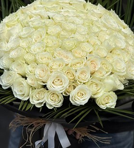 101 beyaz gül, monokrom çiçek, ithal lüks buket