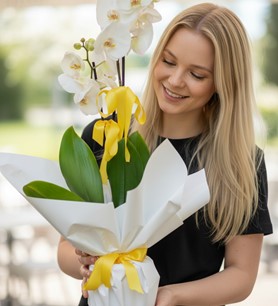 beyaz orkide, 2 dallı orkide, şık saksı çiçeği