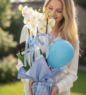 beyaz orkide, erkek bebek çiçeği, balonlu orkide