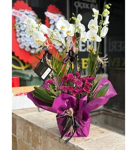 beyaz orkide aranjmanı, 4 dallı orkide, Kayseri çiçekçi