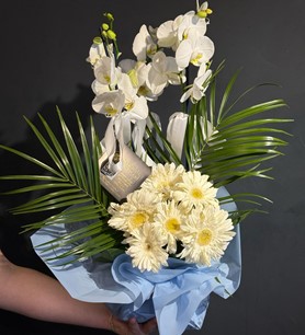2li Beyaz Orkide Aranjmanı