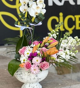 beyaz orkide, orkide aranjman, vazoda orkide