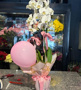 2li Beyaz Orkide Kız Bebek