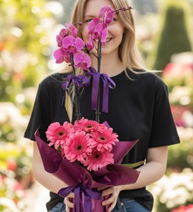 mor orkide, 2 dallı orkide, orkide aranjmanı