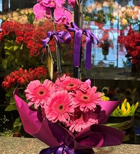 mor orkide, 2 dallı orkide, orkide aranjmanı