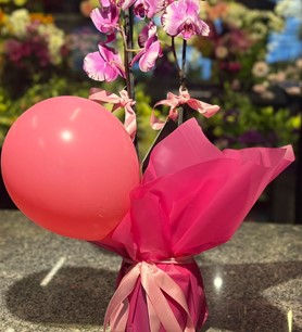 mor orkide, kız bebek balonu, orkide aranjmanı