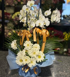 4 Dallı Orkide Aranjmanı