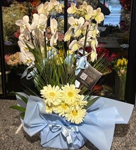 6 Dallı Orkide Aranjmanı