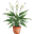 Saksı Çiçekleri kategori ikonu