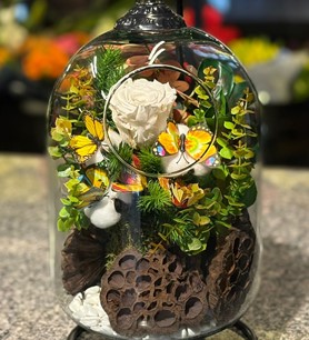 Solmayan gül, beyaz solmayan gül fiyat, askılı fanus çiçek, 