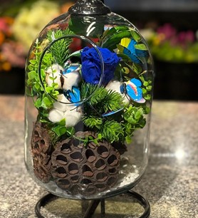 Mavi solmayan gül, askılı fanus çiçek, şoklanmış mavi gül fi