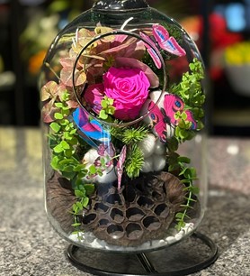 Mor solmayan gül, askılı fanus çiçek, şoklanmış mor gül fiya