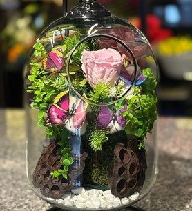 Pembe solmayan gül, askılı fanus çiçek, şoklanmış pembe gül 