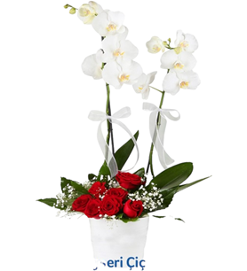 Beyaz 2li Orkide ve Güller