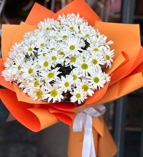 Beyaz Papatya Buketi