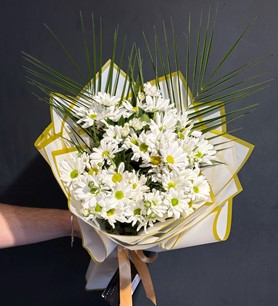 Beyaz Papatya Buketi