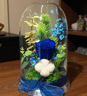 Mavi solmayan gül, fanusta gül fiyat, şoklanmış mavi gül, ca