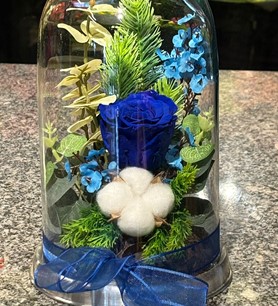 Mavi solmayan gül, fanusta gül fiyat, şoklanmış mavi gül, ca