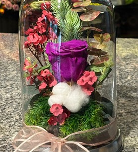 Mor solmayan gül, fanusta gül fiyat, şoklanmış mor gül, cam 