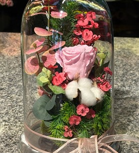 Pembe solmayan gül, fanusta gül fiyat, şoklanmış pembe gül, 