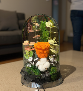 Turuncu solmayan gül, fanusta gül fiyat, şoklanmış turuncu g