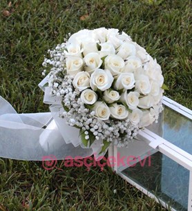Beyaz Gül Gelin Çiçeği