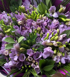 Mor frezya buketi, frezya çiçek buketi, kokulu çiçek buketi