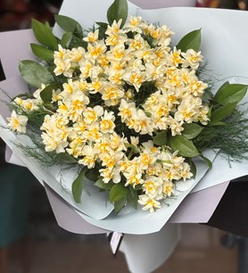 nergis buketi, 30 dal nergis, gri paket çiçek