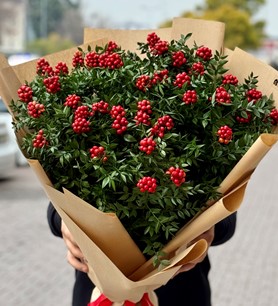 xxl kokina buketi, jumbo kokina, kayseri kokina