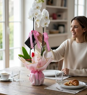 İthal beyaz orkide  2’li beyaz orkide  Orkide hediye