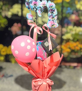 İthal 2li Gökkuşağı Orkide Kız Bebek