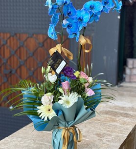 İthal Mavi Orkide Aranjmanı