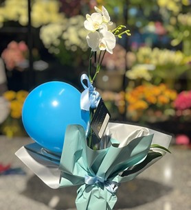 İthal Tek Dallı Beyaz Orkide Erkek Bebek