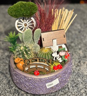 Kaktüs Sukulent Aranjmanı (10)