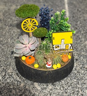 Kaktüs Sukulent Aranjmanı (12)