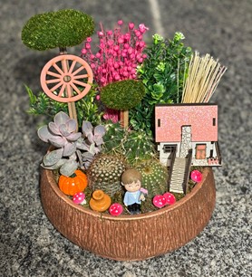 Kaktüs Sukulent Aranjmanı (13)