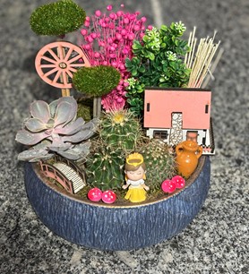 Kaktüs Sukulent Aranjmanı (14)