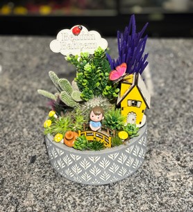 Kaktüs-Sukulent Aranjmanı 8