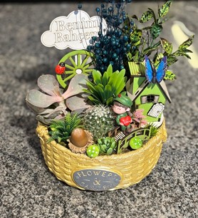 Kaktüs-Sukulent Aranjmanı 4