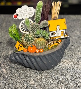 Kaktüs-Sukulent Aranjmanı 2
