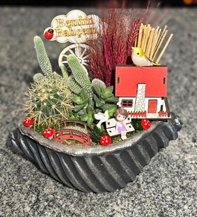 Kaktüs-Sukulent Aranjmanı