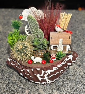 Kaktüs Sukulent Aranjmanı