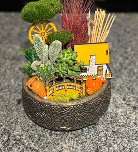 Kaktüs Sukulent Aranjmanı