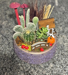Kaktüs Sukulent Teraryum