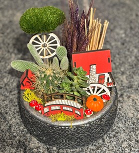 Kaktüs Sukulent Aranjmanı (9)