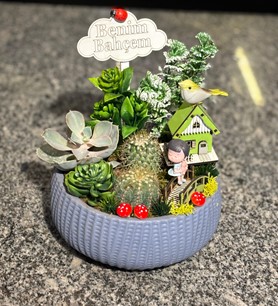 Kaktüs Sukulent Aranjmanı