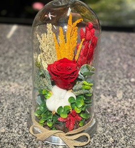 Kırmızı Solmayan Gül