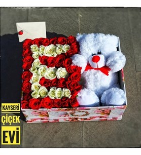 Kutuda Harf ve Ayıcık